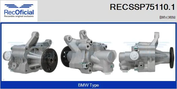 Hydraulic Pump, steering (RECSSP75110.1)