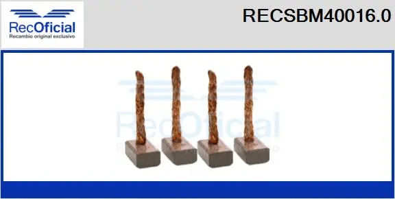 Carbon Brush, starter (RECSBM40016.0)