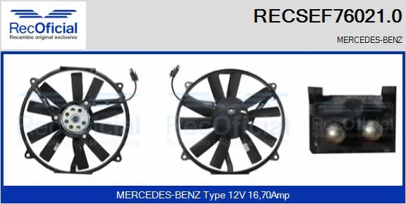 Electric Motor, radiator fan (RECSEF76021.0)