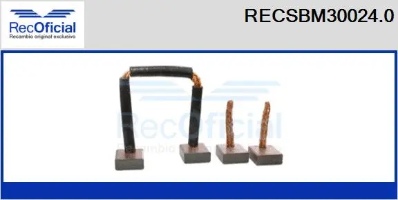 Carbon Brush, starter (RECSBM30024.0)