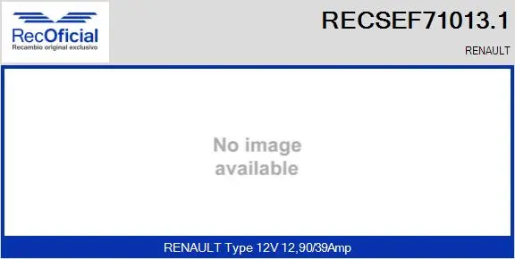 Electric Motor, radiator fan (RECSEF71013.1)