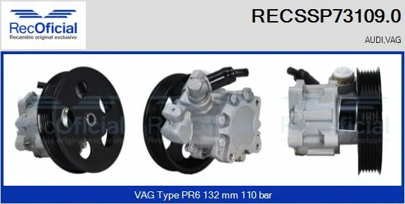 Hydraulic Pump, steering (RECSSP73109.0)