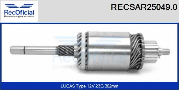 Armature, starter (RECSAR25049.0)