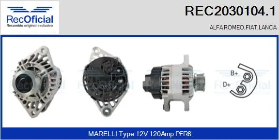 Alternator (REC2030104.1)