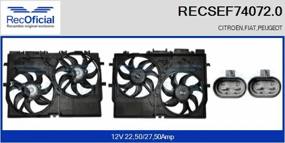 Electric Motor, radiator fan (RECSEF74072.0)