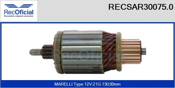Armature, starter (RECSAR30075.0)