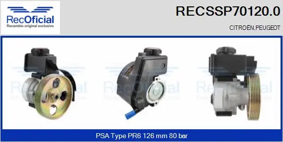 Hydraulic Pump, steering (RECSSP70120.0)