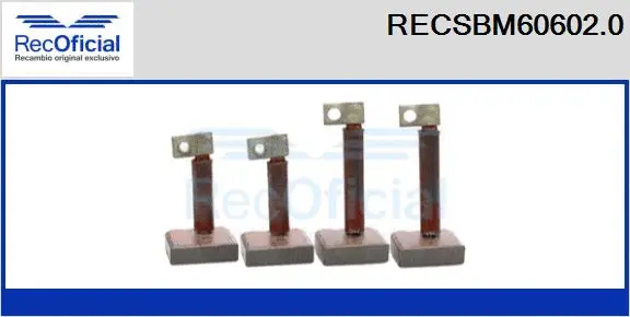 Carbon Brush, starter (RECSBM60602.0)