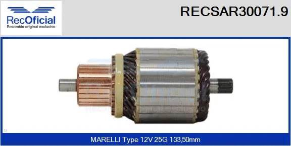 Armature, starter (RECSAR30071.9)