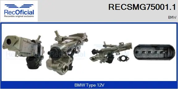 EGR Module (RECSMG75001.1)