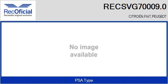 EGR Valve (RECSVG70009.0)