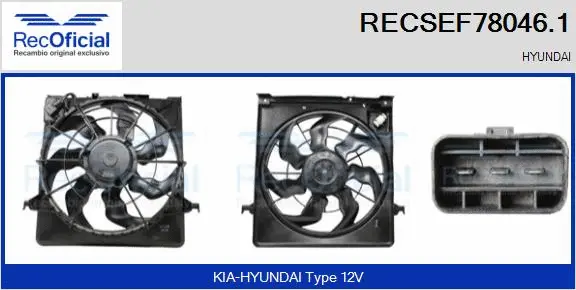 Electric Motor, radiator fan (RECSEF78046.1)