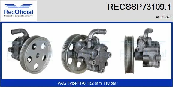 Hydraulic Pump, steering (RECSSP73109.1)