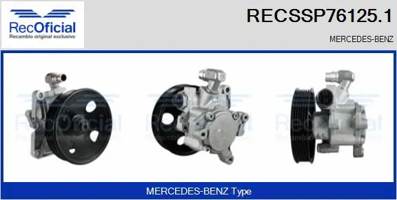 Hydraulic Pump, steering (RECSSP76125.1)