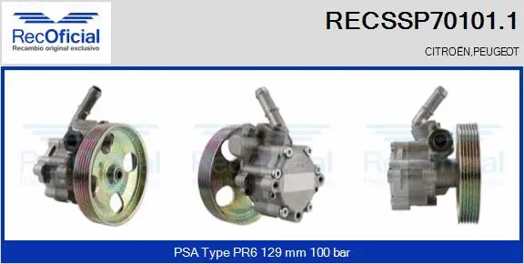 Hydraulic Pump, steering (RECSSP70101.1)