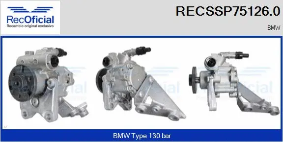 Hydraulic Pump, steering (RECSSP75126.0)