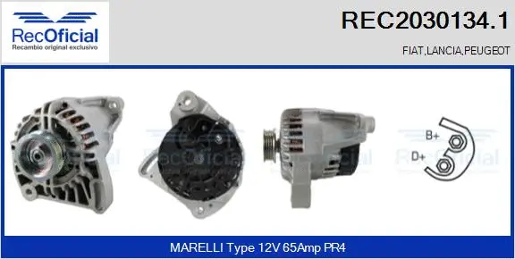 Alternator (REC2030134.1)