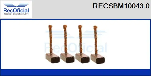 Carbon Brush, starter (RECSBM10043.0)