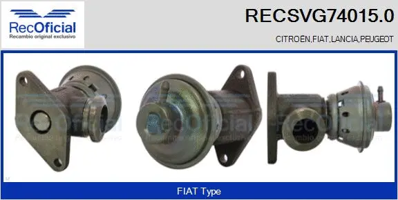 EGR Valve (RECSVG74015.0)