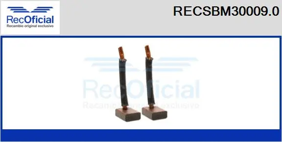 Carbon Brush, starter (RECSBM30009.0)