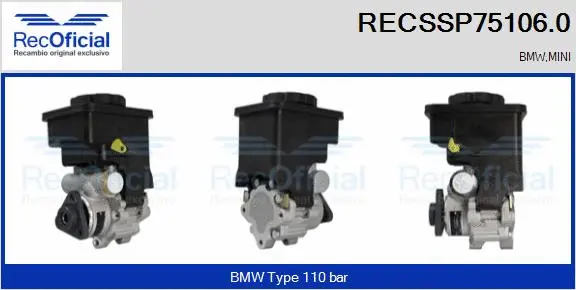 Hydraulic Pump, steering (RECSSP75106.0)