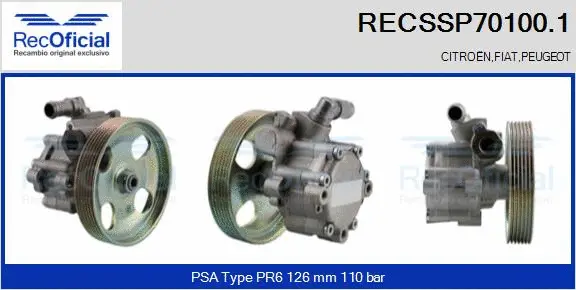 Hydraulic Pump, steering (RECSSP70100.1)