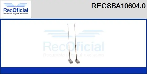 Carbon Brush, alternator (RECSBA10604.0)