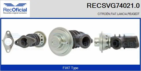 EGR Valve (RECSVG74021.0)