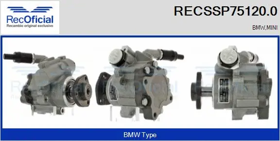 Hydraulic Pump, steering (RECSSP75120.0)