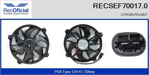 Electric Motor, radiator fan (RECSEF70017.0)