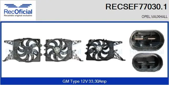 Electric Motor, radiator fan (RECSEF77030.1)