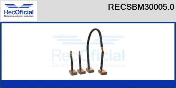Carbon Brush, starter (RECSBM30005.0)
