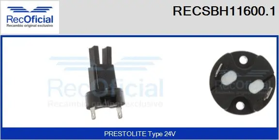 Holder, carbon brushes (RECSBH11600.1)