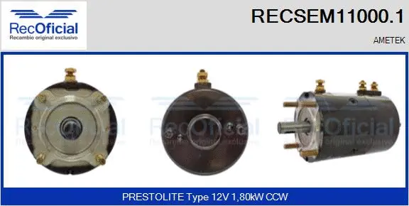Electric Motor (RECSEM11000.1)
