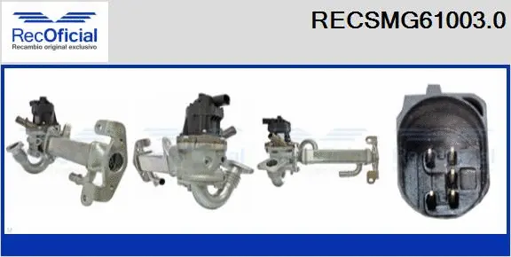 EGR Module (RECSMG61003.0)