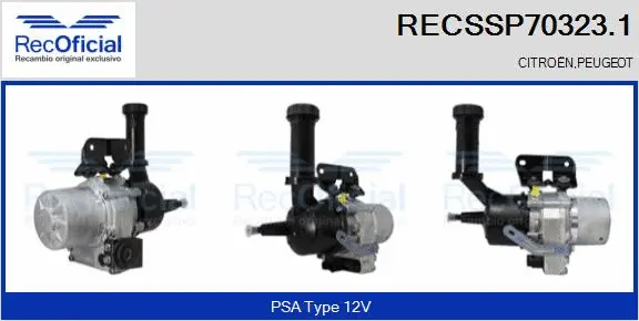 Hydraulic Pump, steering (RECSSP70323.1)