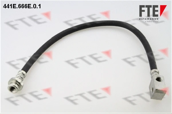 Brake Hose (441E.666E.0.1)