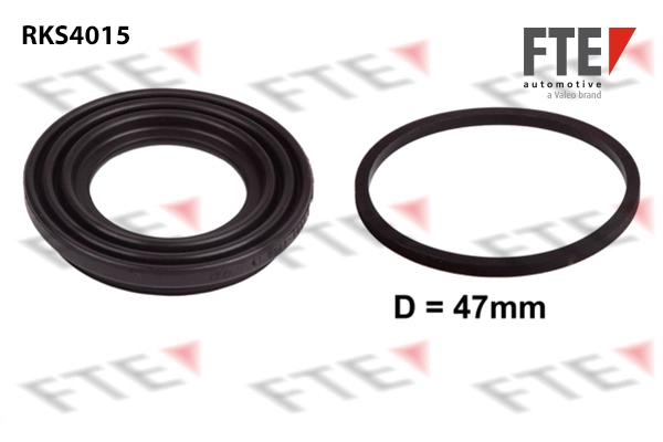 Seal Kit, brake caliper (RKS4015)