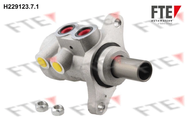 Brake Master Cylinder (9220181)