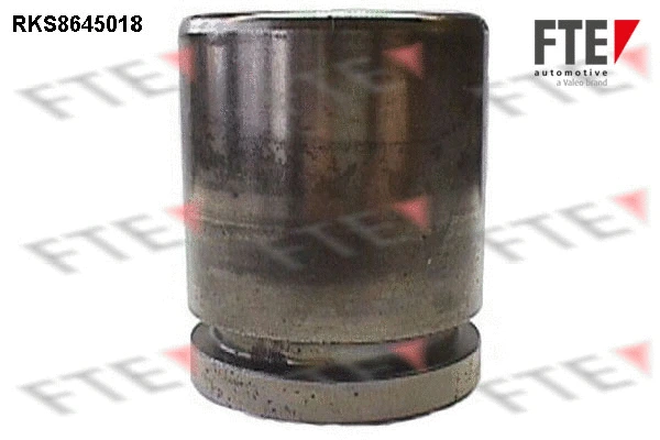 Piston, brake caliper (9313393)