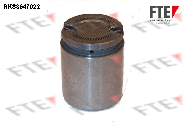 Piston, brake caliper (RKS8647022)