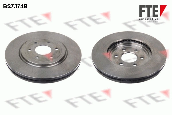 Brake Disc (9081116)