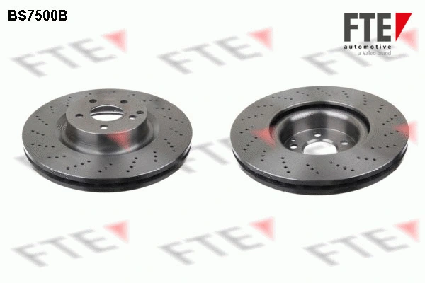 Brake Disc (9081161)