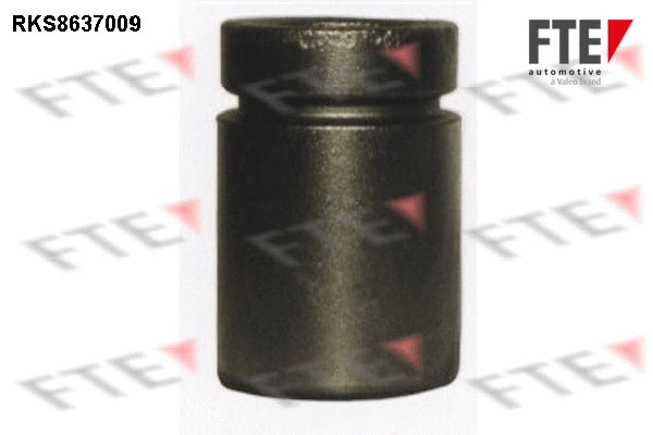 Piston, brake caliper (RKS8637009)