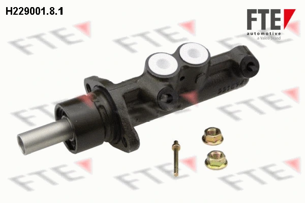 Brake Master Cylinder (H229001.8.1)