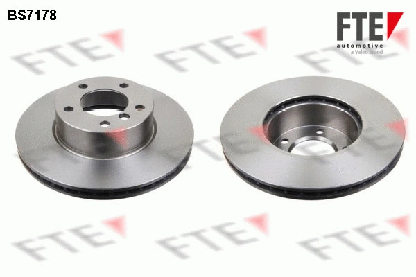 Brake Disc (9071028)