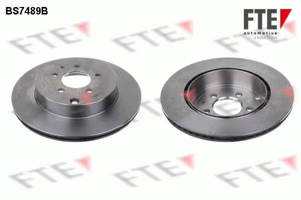 Brake Disc (9081201)