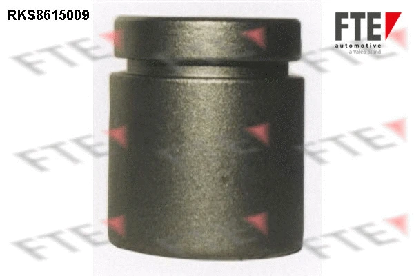 Piston, brake caliper (9313004)