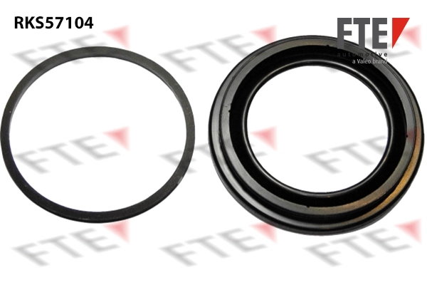 Seal Kit, brake caliper (RKS57104)