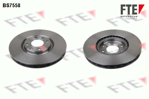 Brake Disc (9071272)